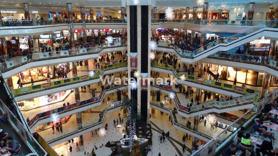 Vila individuala D+P+1+M 380mp utili - Poză 7