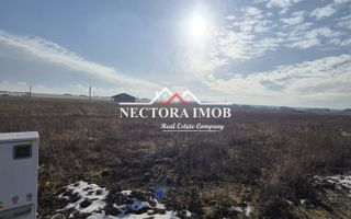 NECTORA IMOB-Teren Intravilan, 500 mp, Front 20ml,Zona CIHEI,Utilitati - Poză 2