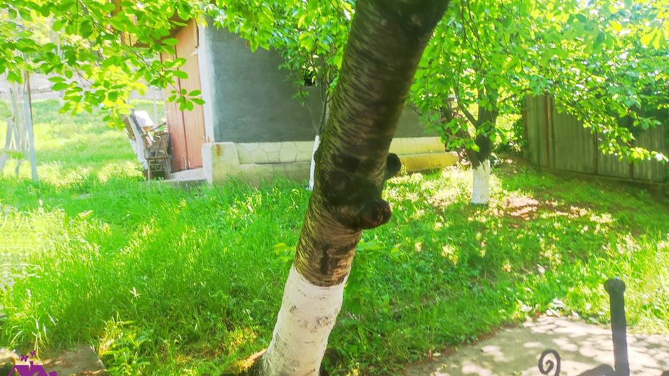 Casa zona dealuri - Poză 8