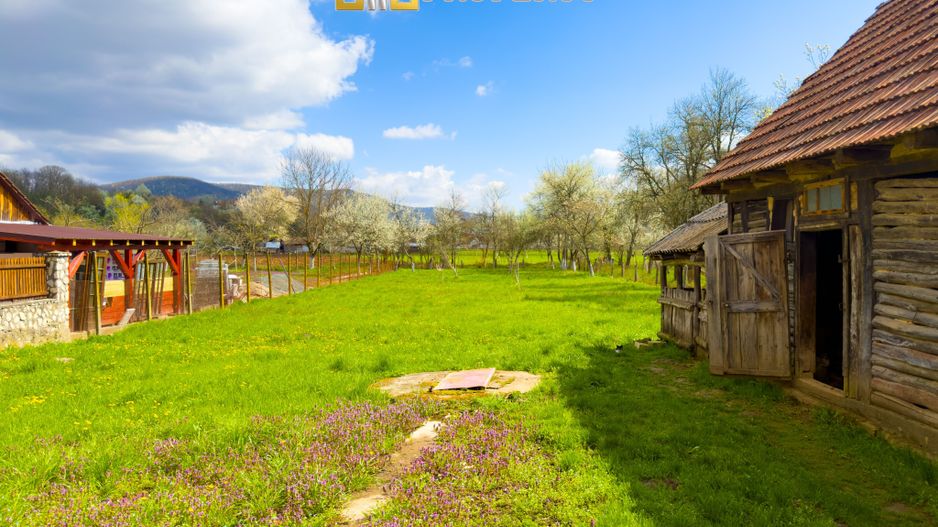 Colț de natură: casă + teren mare în Săvârșin - Poză 7