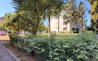 Apartament decomandat / etaj intermediar / Zona Grigorescu - Poză 17