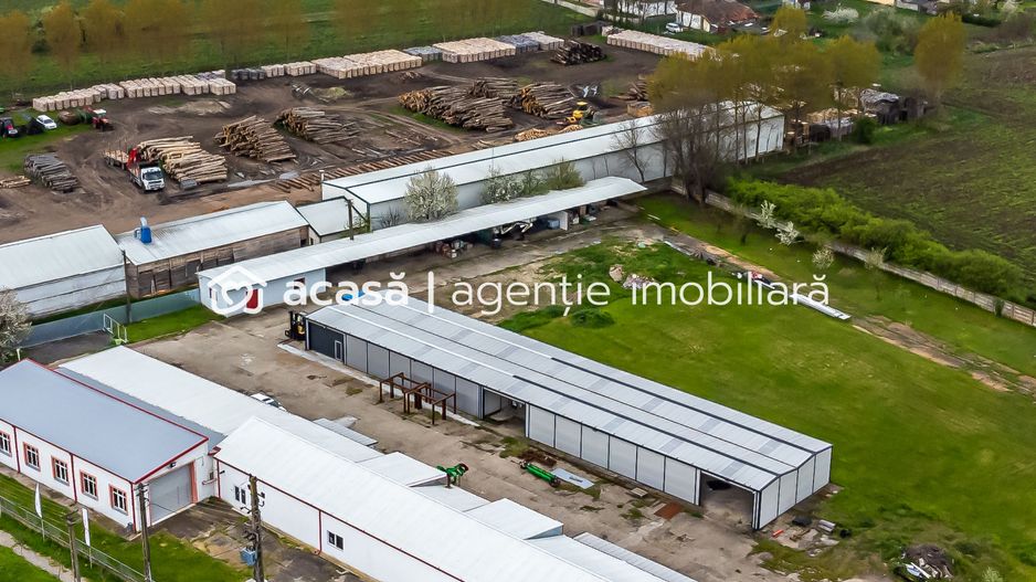 Hale depozitare/producție 2.000 mp si 10.000 mp teren în Pecica - Poză 2