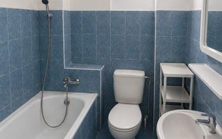 Apartament 2 camere Sagului-Piata Doina parter - Poză 7