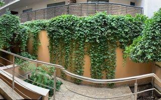 VANZARE VILA S+P+4E | ZONA AVIATORILOR | OPORTUNITATE - Poză 2