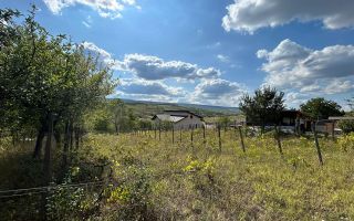 Casa si teren 4333 mp de vanzare in Tomesti - Chicerea-90,000 € - Poză 4