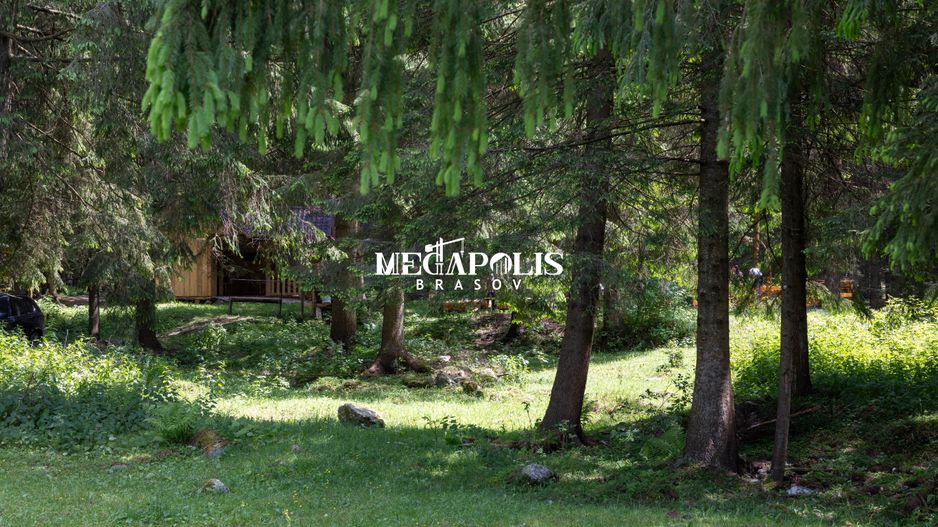 Pretabil Hotel,Pensiune,Case de Vacanta/Utilitati/PUZ - Poză 8