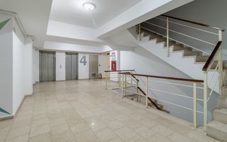 Studio Pipera Voluntari - Vitta Bella - Comision 0-Animale companie - Poză 7