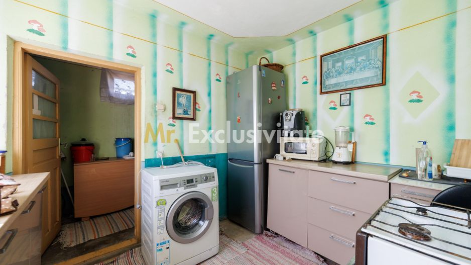 CASA SI GOSPODARIE DE VANZARE – SPINENI, OLT | 4.000 MP TEREN - Poză 5