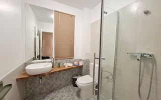 Proprietate cu potențial turistic în zona montană a Țării Lăpușului - Poză 23