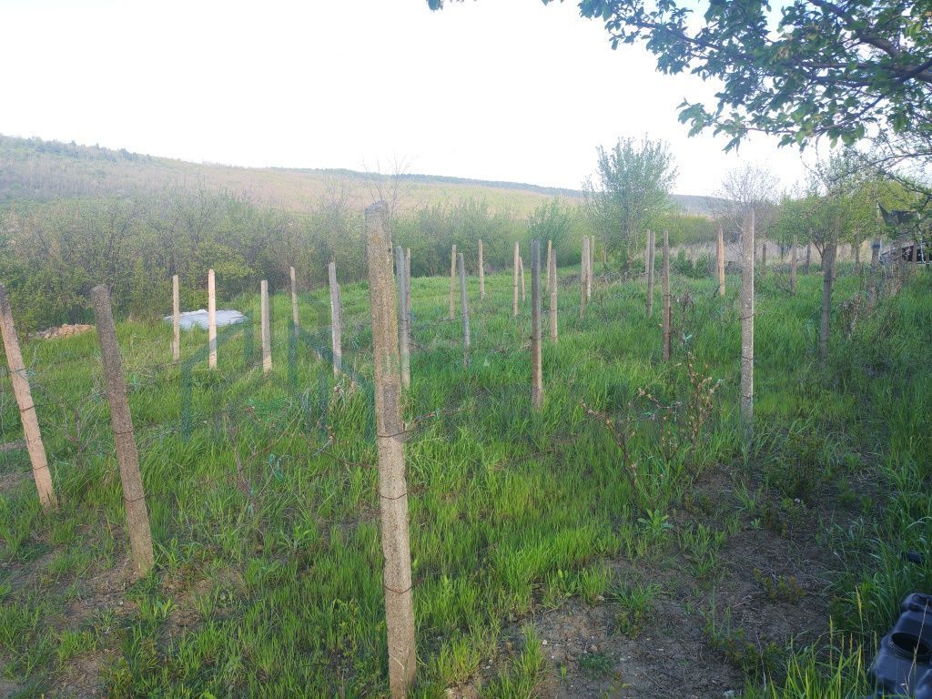 Teren intravilan de vânzare în sat Vânători, comuna Popricani, județul Iași - Poză 3