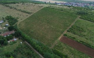 Colnă cu 7 camere în Covăsânț și teren 9 ha - Poză 11