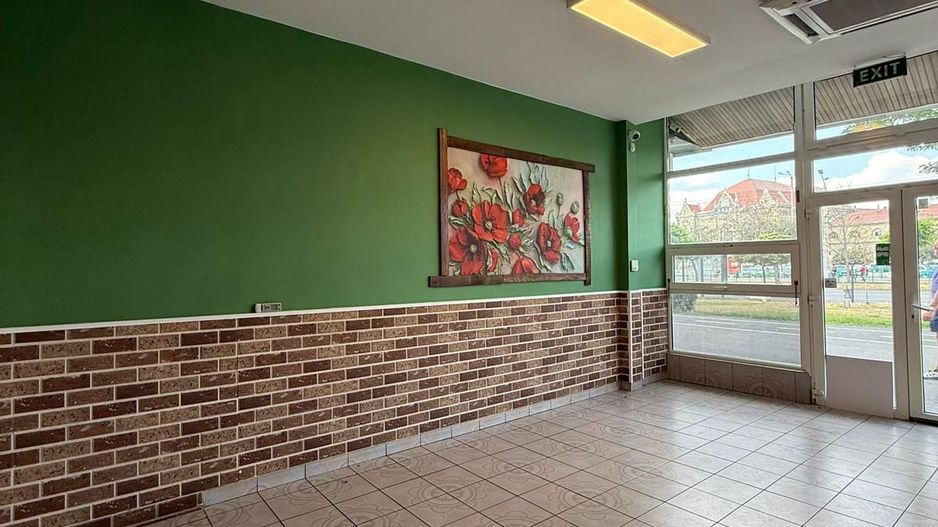 Spațiu ideal pentru afacerea ta - zona Gării, Arad - Poză 2