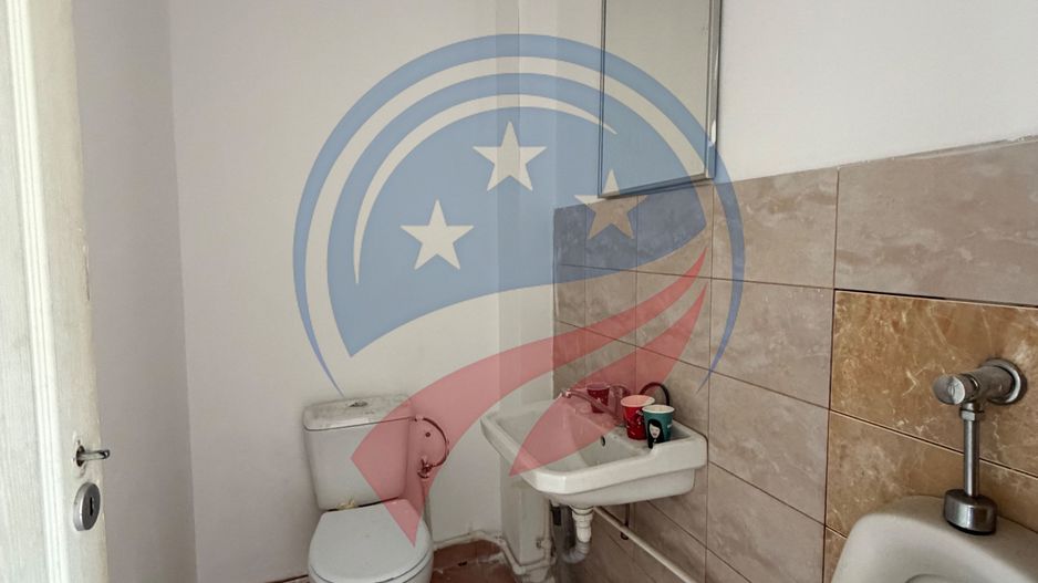 HALE INDISTRIALE SAU BIROURI ZONA CARCEA SAU BRESTEI - Poză 5