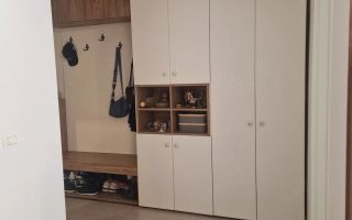 Apartament 2 camere  Dumbrvita - Poză 9