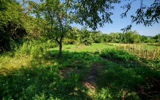 CASA SASEASCA comuna VULCAN,zona foarte buna,teren 3000 mp - Poză 19
