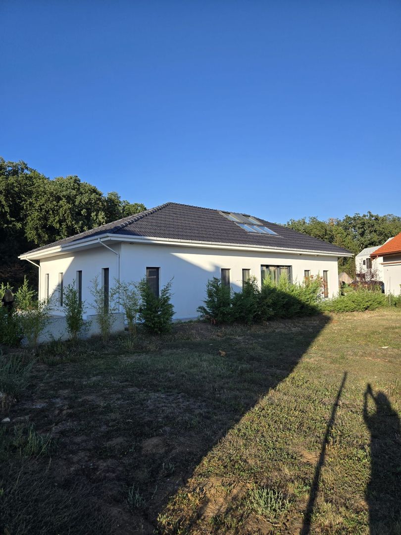 Balotesti,Dumbrava Vlasiei Casa Smart Premium - Poză 1