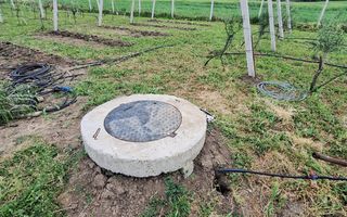 Teren intravilan cu PLANTATIE DE GOJII de vanzare in Racari - Poză 8