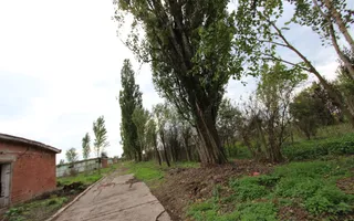 Vanzare hale Mosnita Noua-fosta Ferma 7 - Poză 30