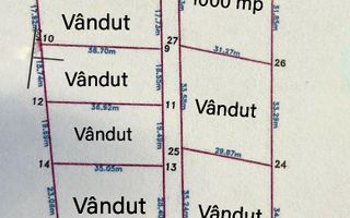 Parcele de 1000 mp-panoramic-ideal investitie-Sigmir - Poză 5