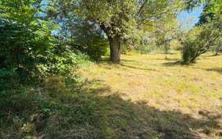 TEREN INTRAVILAN 3234 MP LEREȘTI VOINEȘTI ARGEȘ - Poză 36