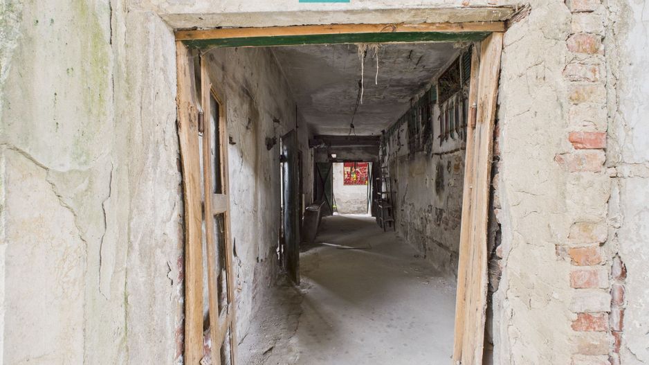 Hală de depozitare 200 mp în Periam - Poză 3