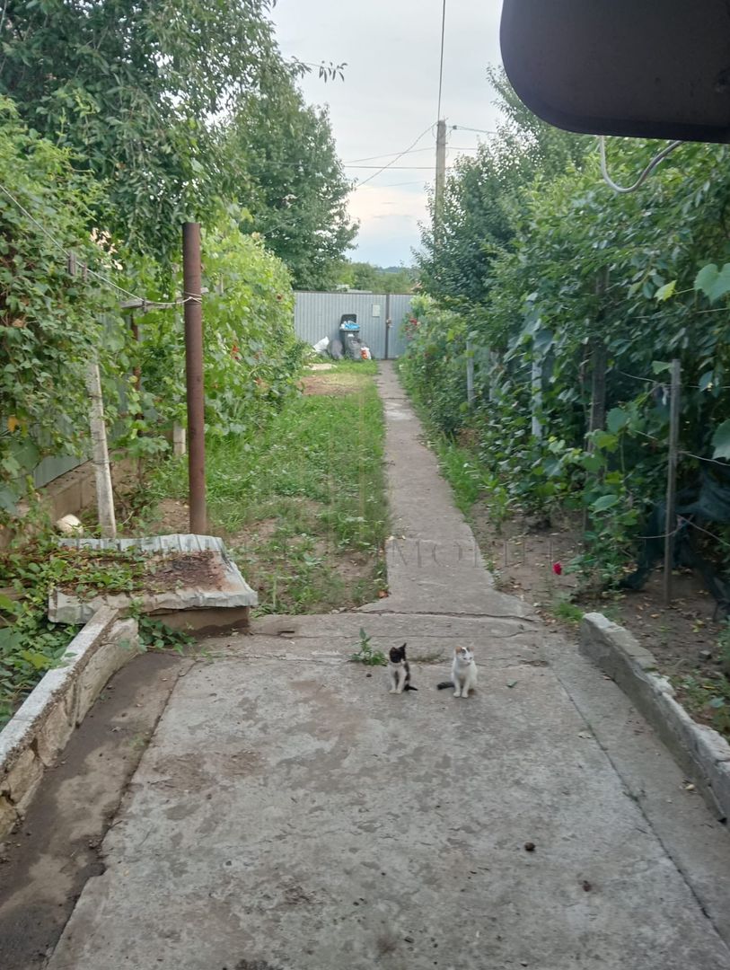 Casa de vanzare in Targu Trotus - Poză 2