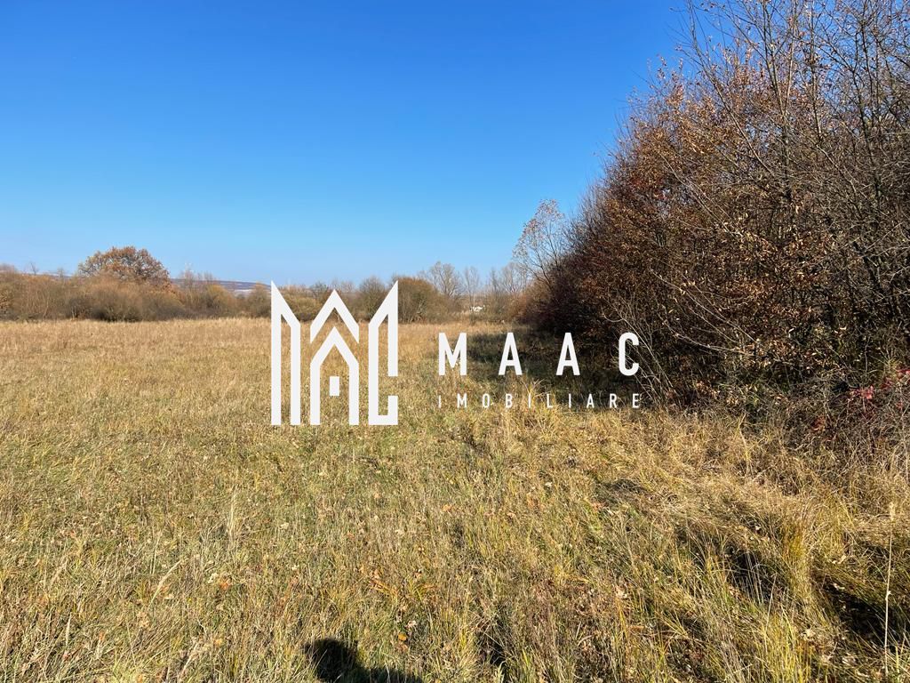 Teren industrial | servicii Selimbar DN | 2934mp - Poză 2