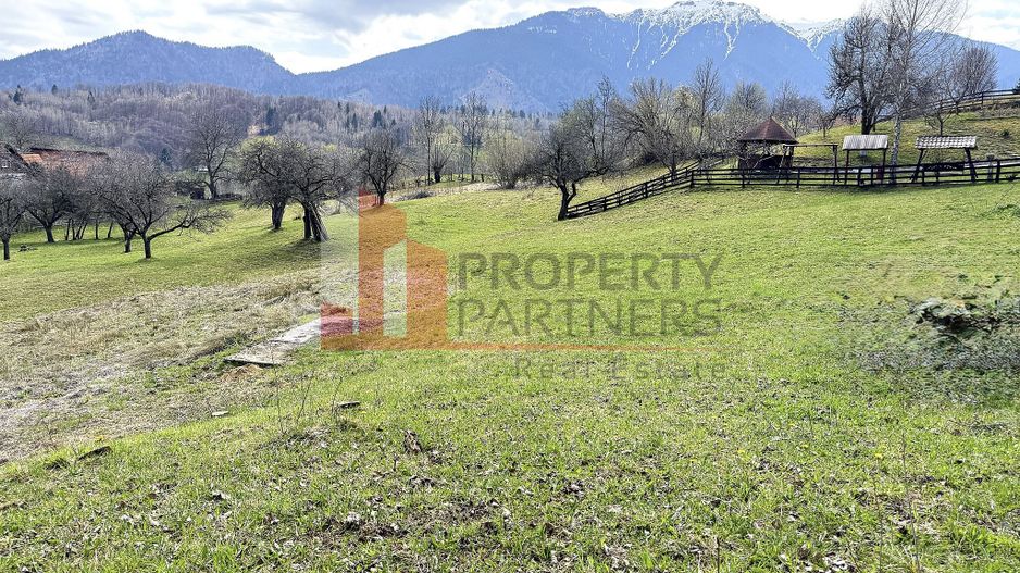 TEREN 2.495 MP | BRAN – SOHODOL | VEDERE PANORAMICĂ SPRE BUCEGI - Poză 2