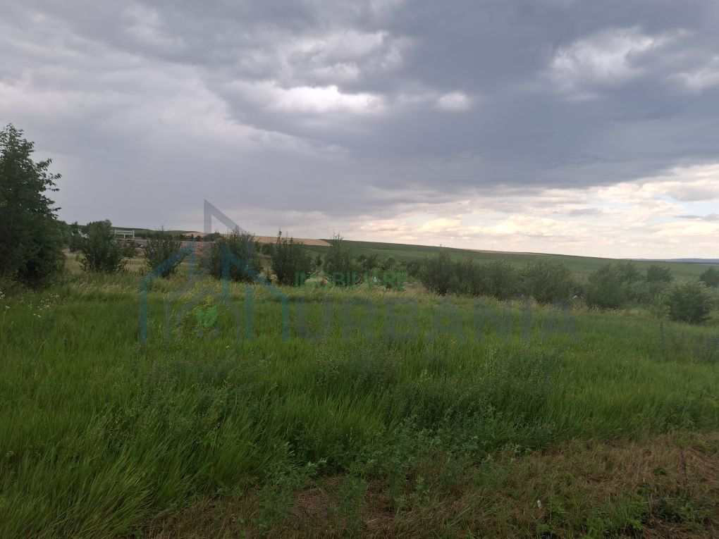 Teren de vânzare în Voinesti, Iași – zonă în dezvoltare, lângă Equester - Poză 7
