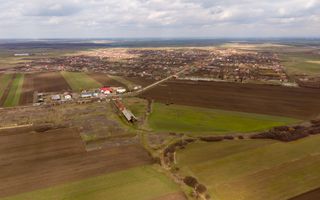 Fermă cu teren intravilan de 35000 mp în Mișca - Poză 2