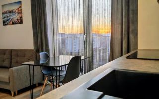 2 Camere decomandate,Iulius Mall,FSEGA,Intre lacuri,Prima inchiriere - Poză 2