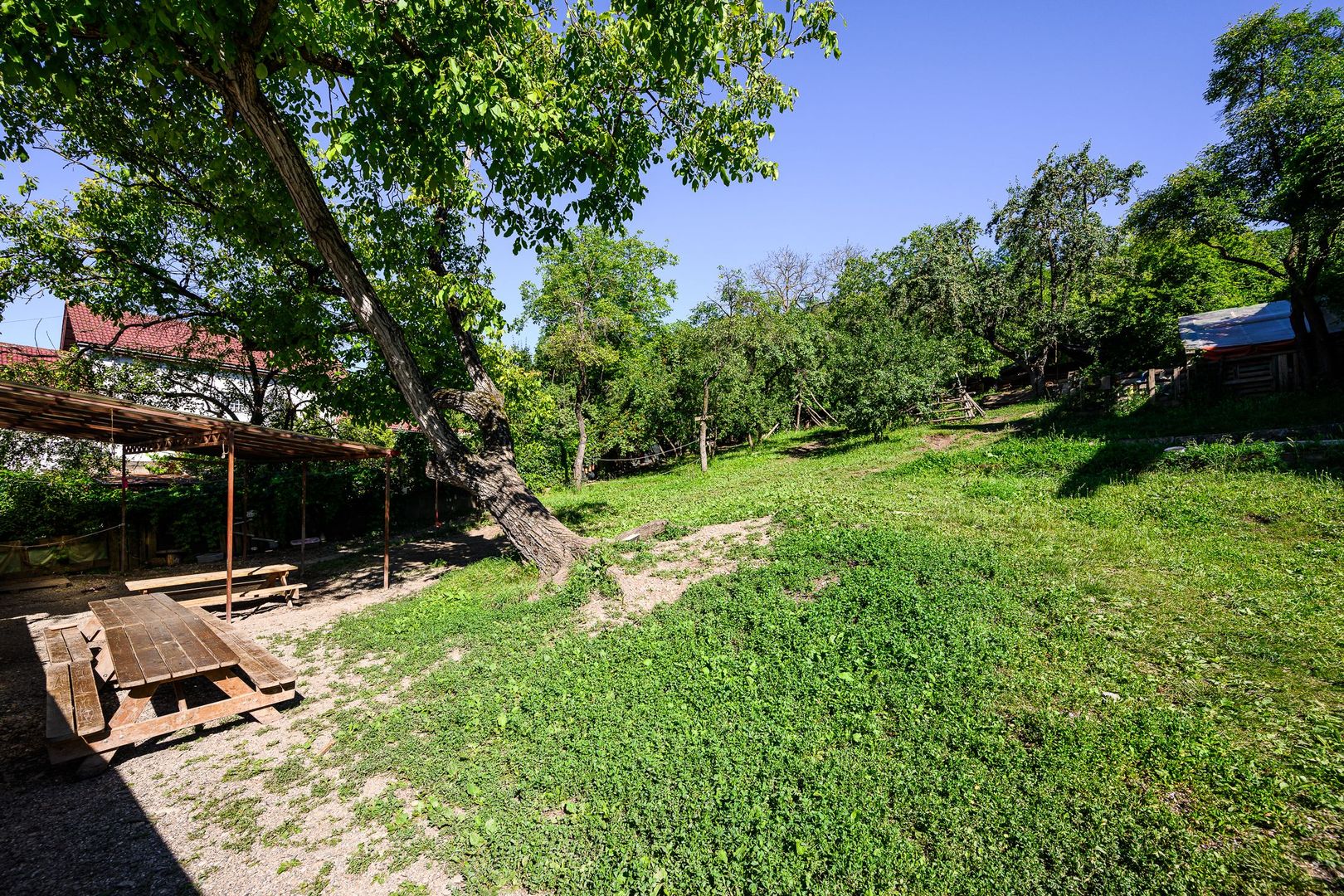 Casa 200MP cu teren de 2.050MP - Grigorescu - Str.Donath 20 - Poză 5