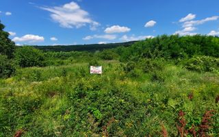 🌳 🌞🌿 TEREN INTRAVILAN  2800 mp - 30 Euro/mp  - RATE LA  NOTARIAT  ! 🌳🌞🌿 - Poză 8
