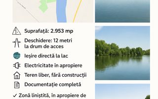 Teren de vanzare in zona Mogosoaia (Iesire la Lac) - Poză 7