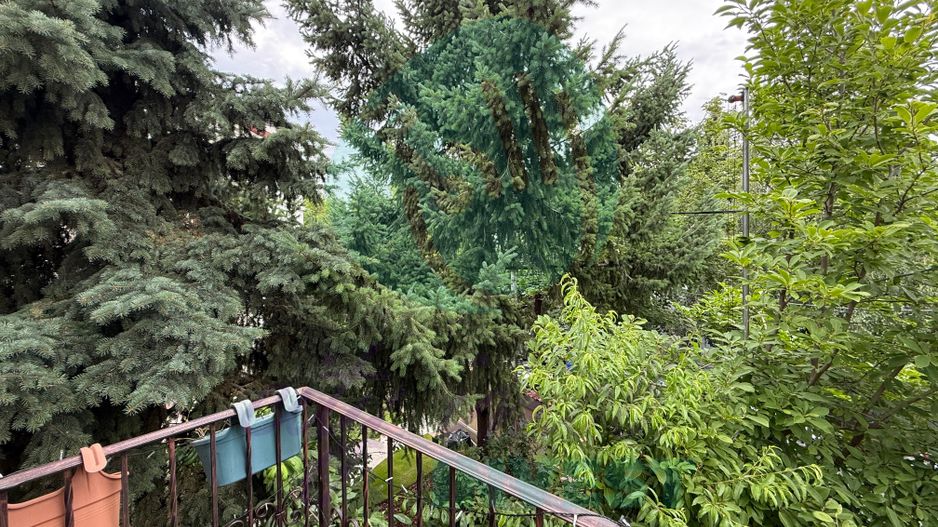 Vilă individuală cu grădină și terasă |Parcul Circului – Maica Domnulu - Poză 8