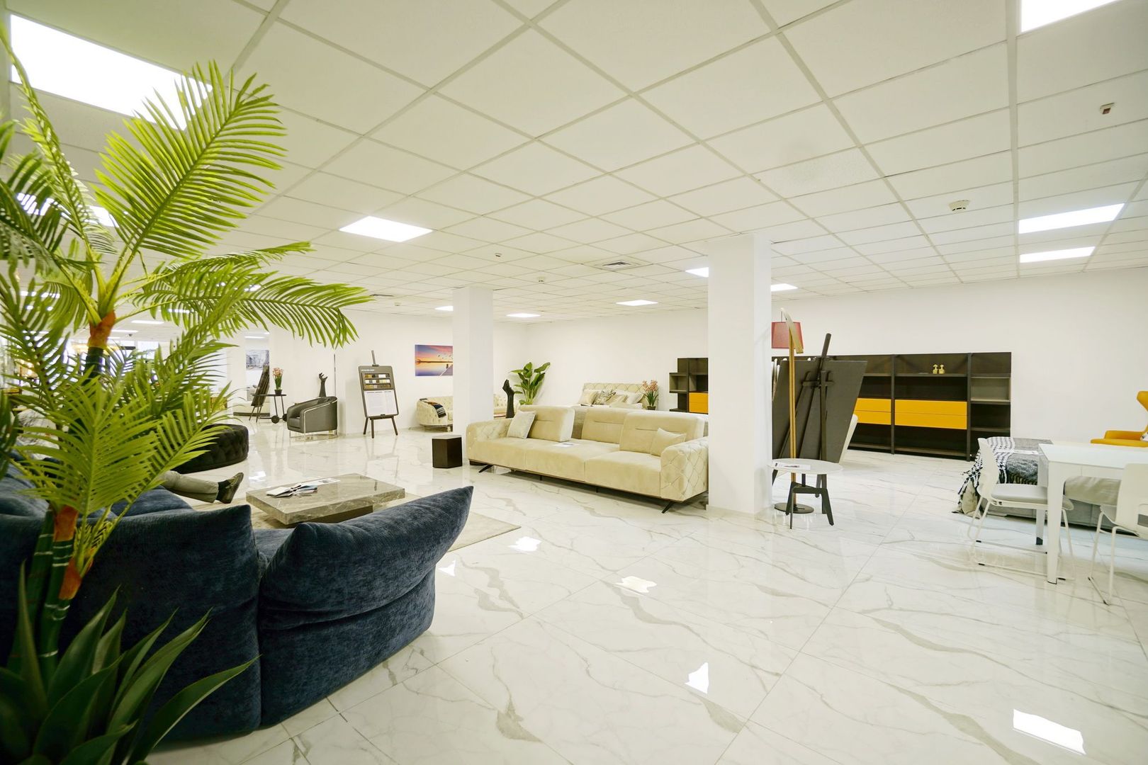 Spatiu comercial 2000 mp,Valea Cascadelor - Poză 13