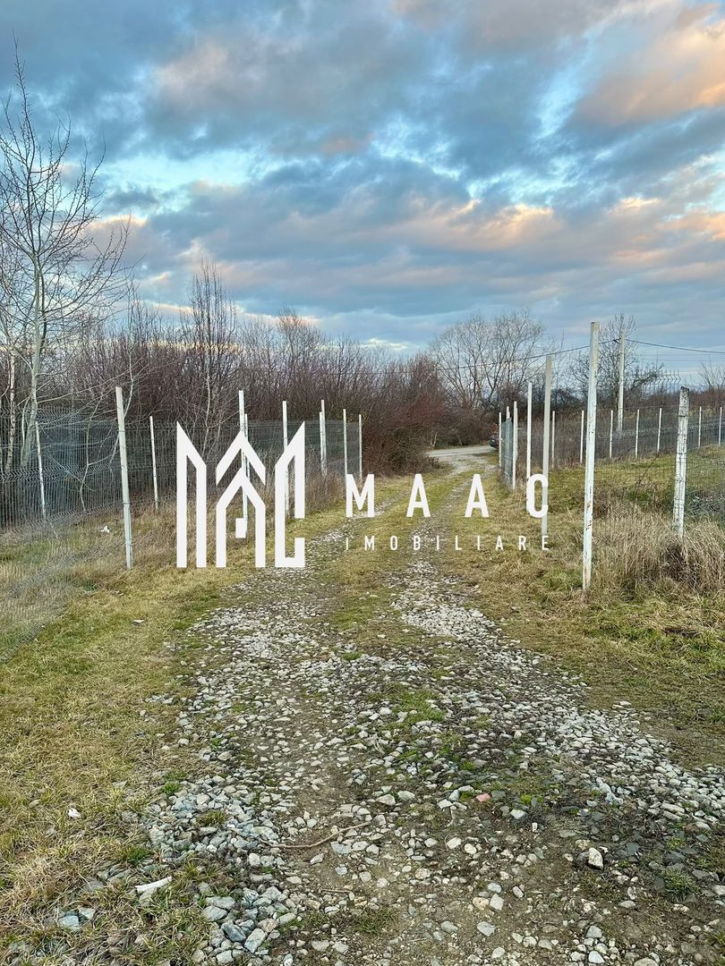 Teren intravilan de vânzare | Sibiel | 1.821 mp | vedere spre munte - Poză 9