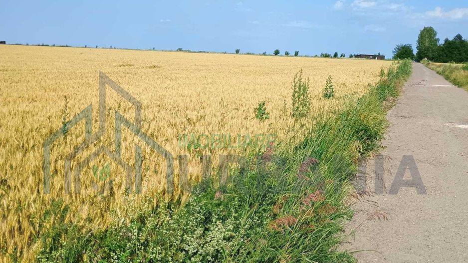 De vanzare teren extravilan valea ursului - Poză 2