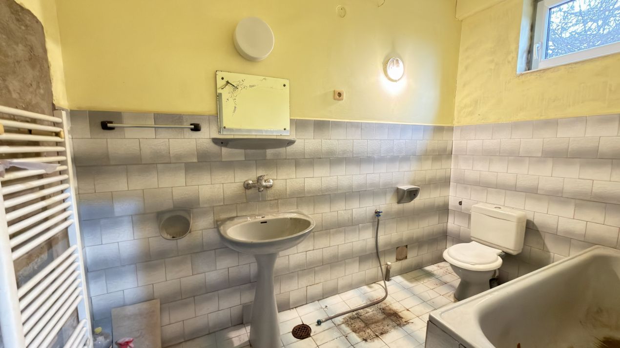 Proprietate cu 2 case | Teren 546 mp | Str. Albinelor Nr.18 - Carei - Poză 10