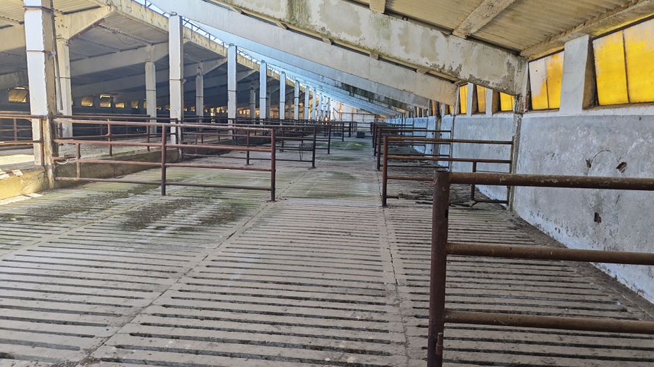 Spațiu industrial -fermă Orțișoara - Poză 4