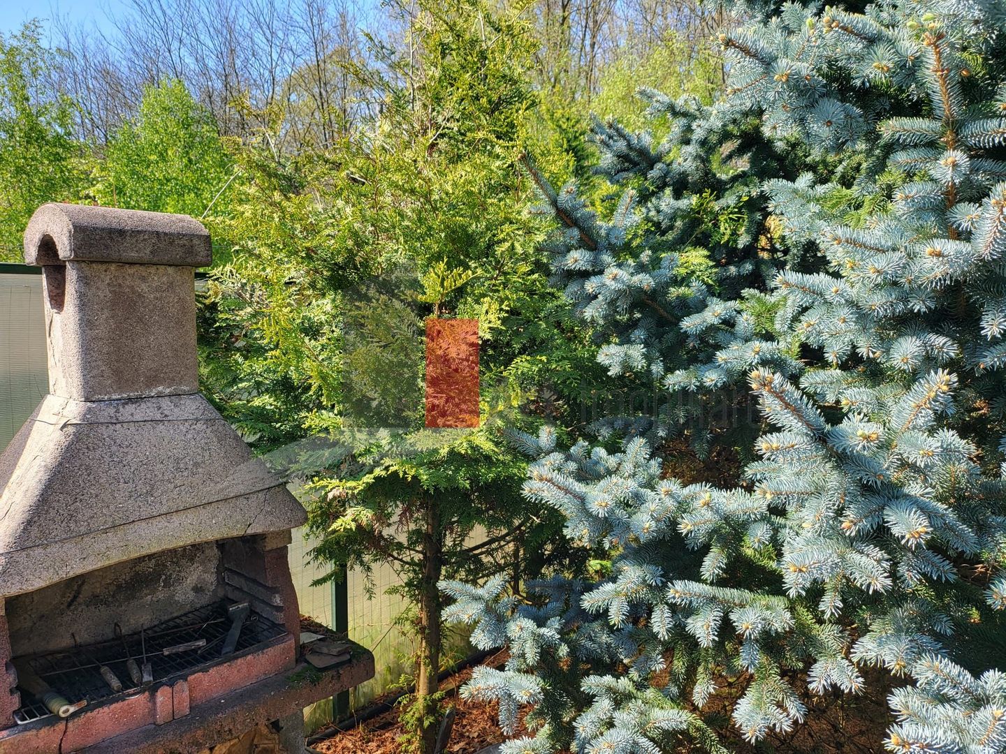 Silistea Snagovului | Casa de vis | Locatia de vis - Poză 13