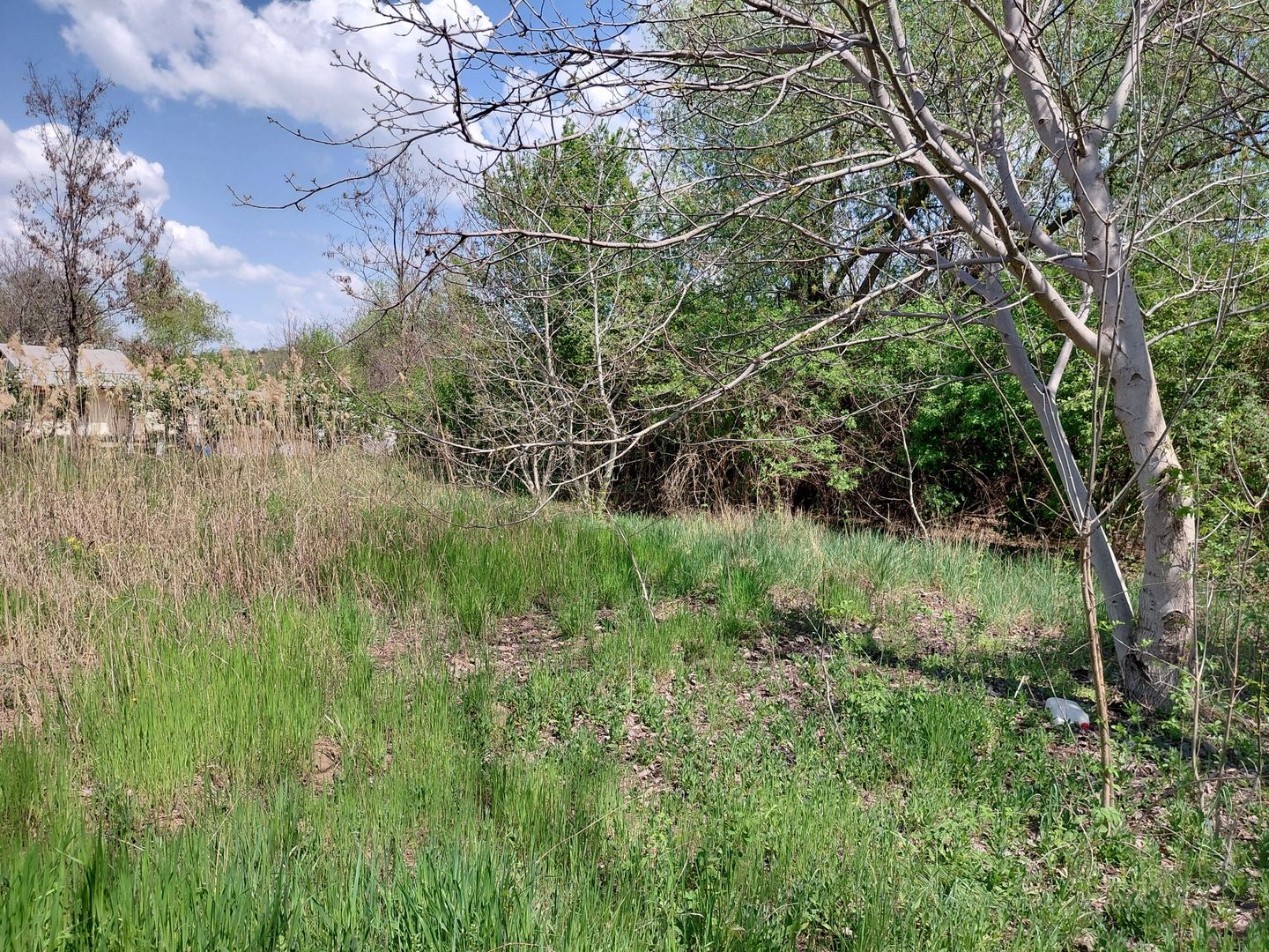 Teren intravilan 3.250 mp în Filești – Ideal pentru casă sau investiție! - Poză 15