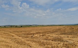 Teren intravilan– 50.000 mp, Bacău, Șoseaua Hol - Poză 8