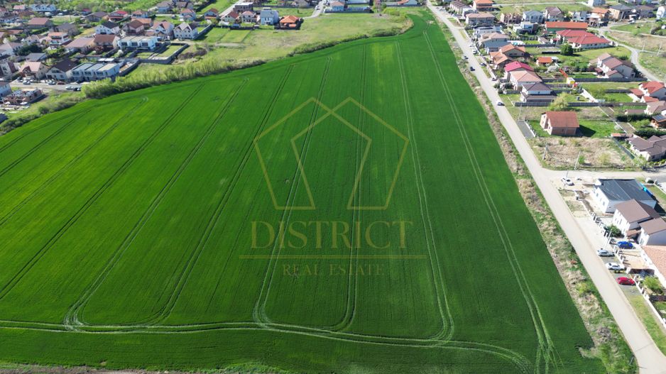 PUZ pentru servicii 7540mp | Dumbravita - Poză 3