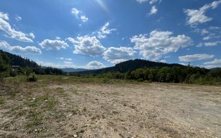 TEREN INTRAVILAN 2,26 HA | SUCEVITA | - Poză 10
