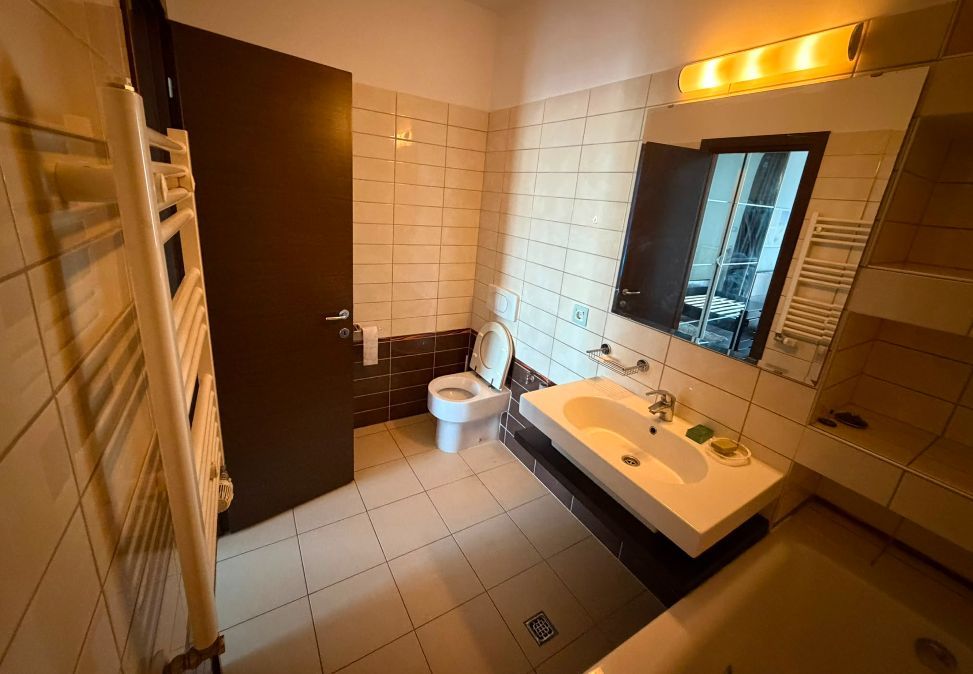 3 camere | terasa 27 mp | Asmita Gardens | Splaiul Unirii - Poză 9