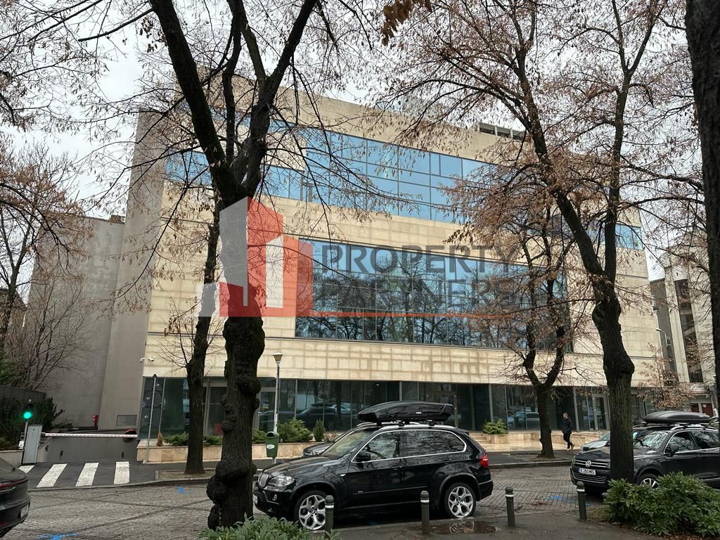 Unic, intre Victoriei si Charles de Gaulle - Poză 1