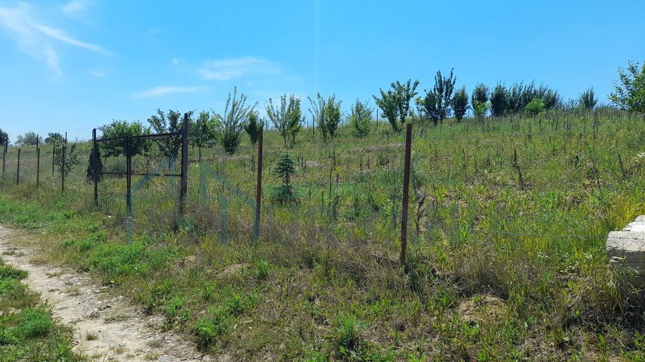 Teren de vânzare, 1074 mp, acces ușor. Zona Copou Iași! - Poză 5