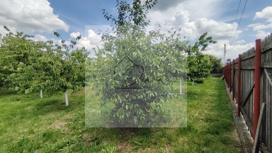 Casa Ciocanesti Cretu - 2 camere cu teren 2539 mp  - Jud. Dambovita - Poză 48