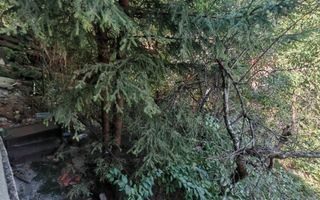 Casa singur in curte zona ZONA ISTORICA langa Seminarul Teologic - Poză 9
